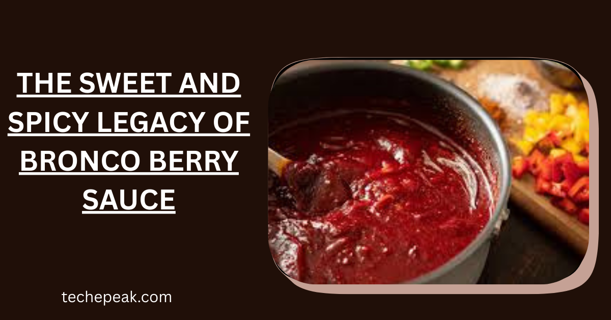 Bronco Berry Sauce served in a dipping cup with its rich red color and glossy texture.