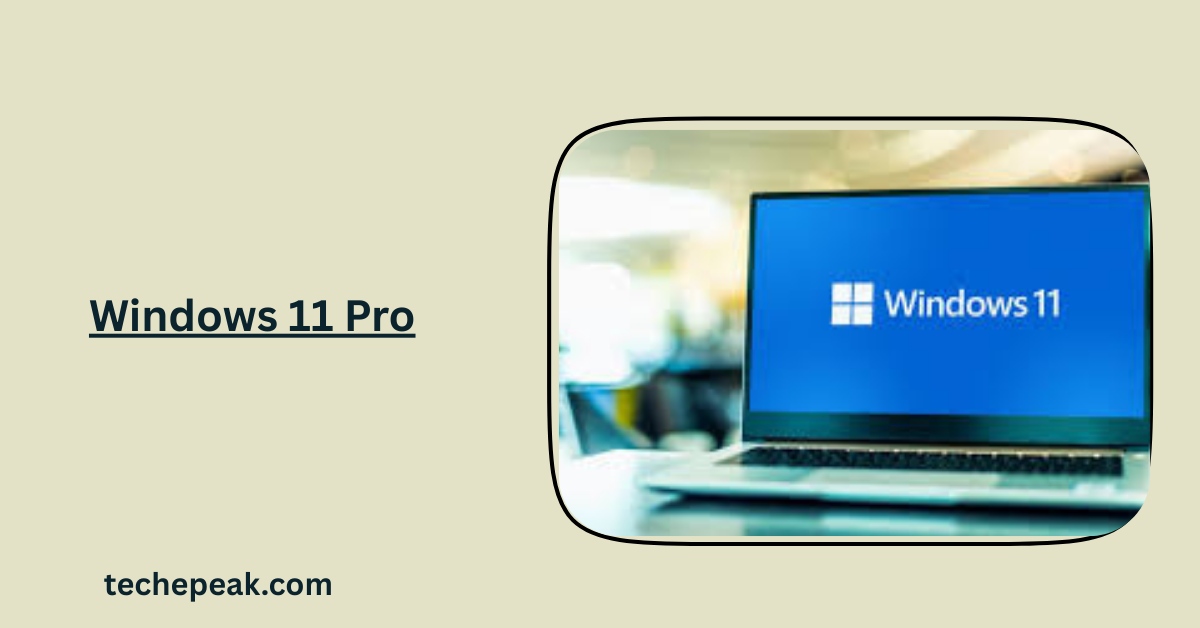 Windows 11 Pro