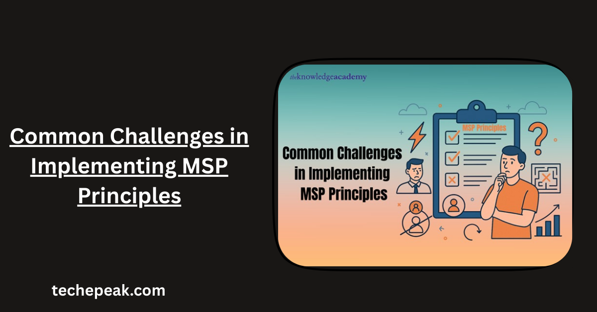 msp-principles-implementation.