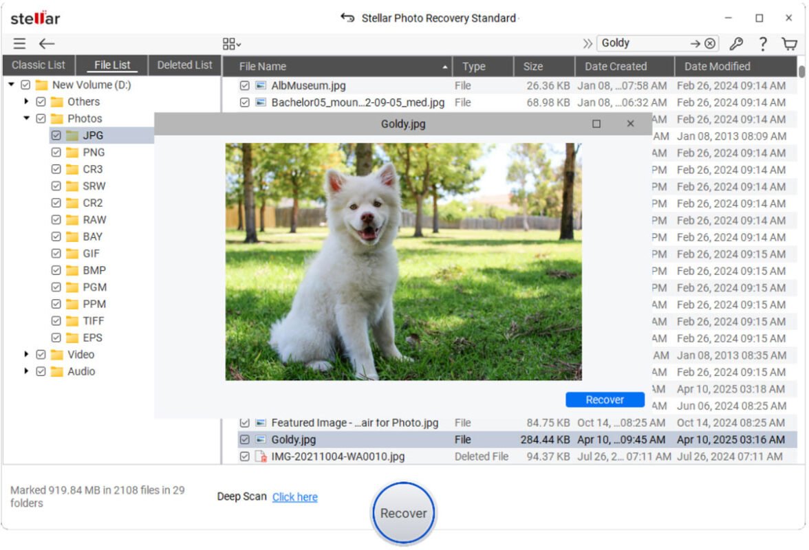Guide to Recovering Deleted Photos from an SD Card [2026 Updated]