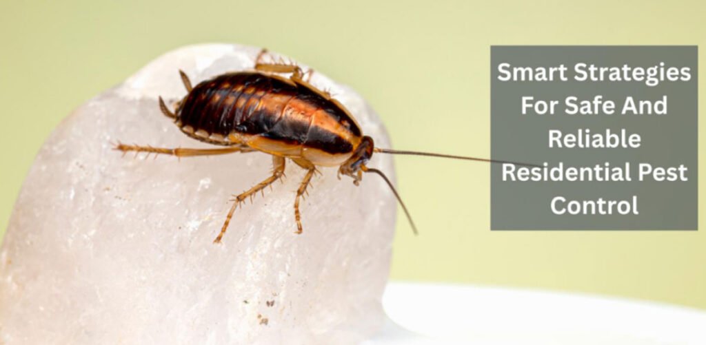 Smart Strategies For Safe And Reliable Residential Pest Control