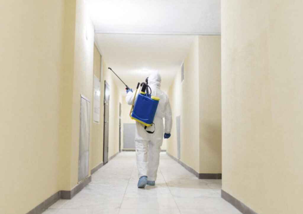 Smart Strategies For Safe And Reliable Residential Pest Control